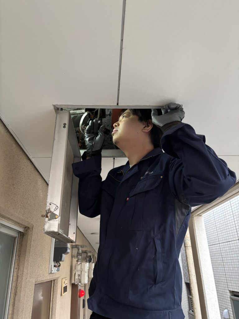 岐阜市 ネズミ調査