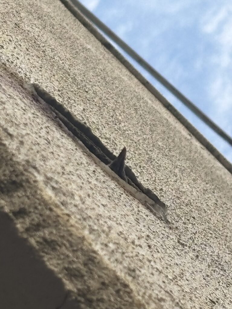 岐阜市のアパートの換気口(ガラリ)のムクドリ対策