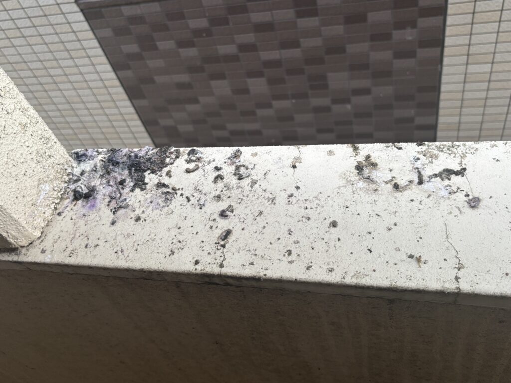 岐阜市のアパートのムクドリによるフン害