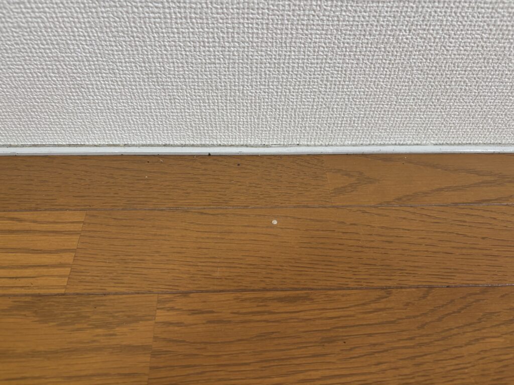 岐阜市のアパートでシロアリ施工後に木栓補修を行ったフローリング