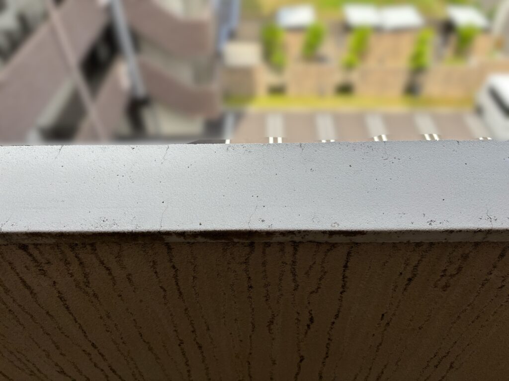 岐阜市のアパートのムクドリによるフン害の清掃後